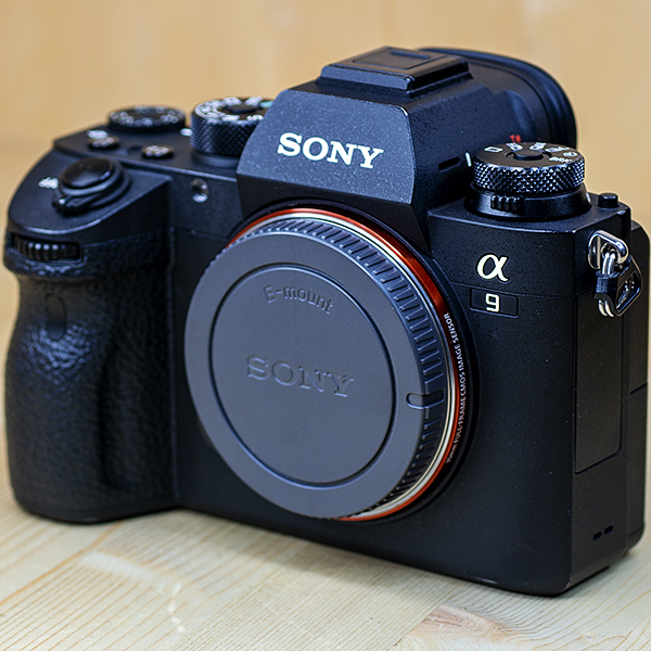 소니 A9 SONY α9 E-mount T* Body (정품 박스풀셋트)/95%