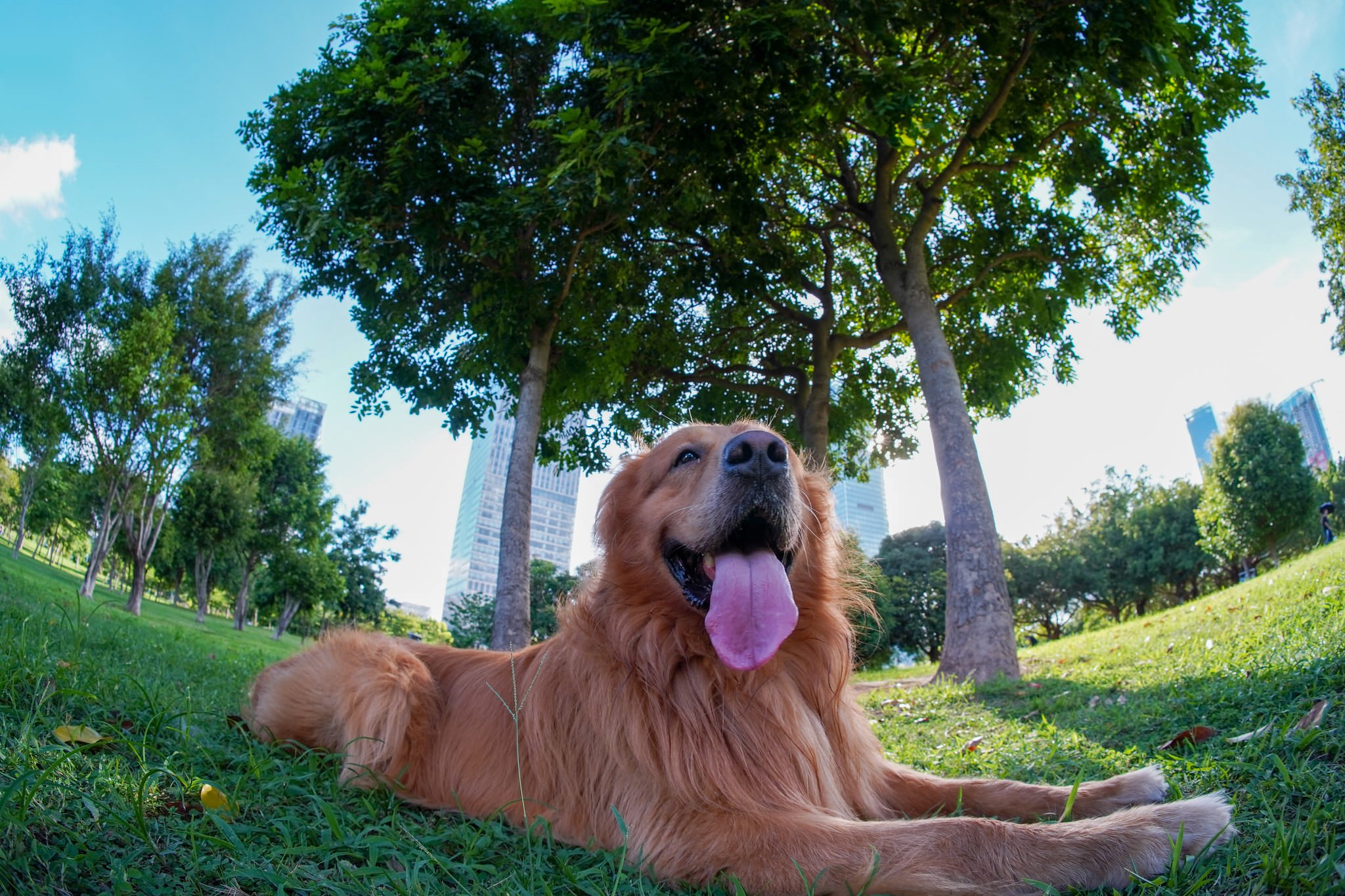 타르티산-7-5mm-f-2-0-aps-c-어안-렌즈-엑시바트-거리-사진-06